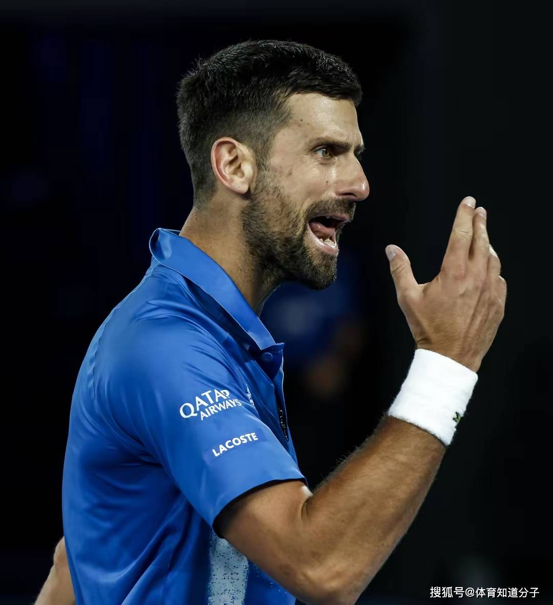 包含比赛局势复杂首场状态出色，澳大利亚队观众沸腾！，德约科维奇重返赛场观众掌声雷动的词条